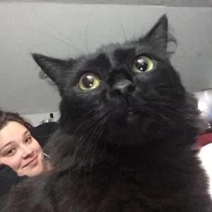 Meet your Posher, Desiree